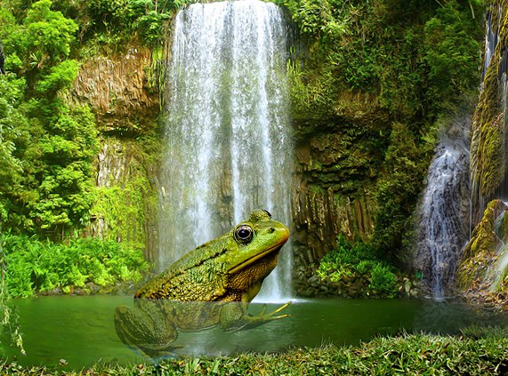 Swamp animals